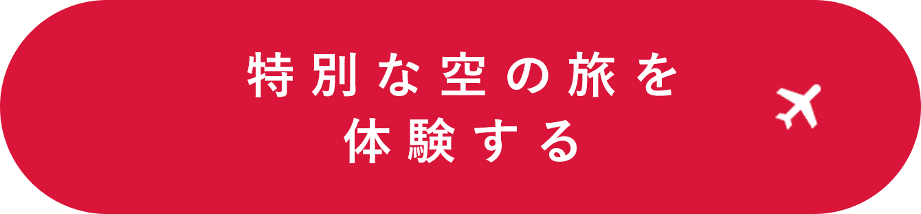 特別な空の旅を体験する